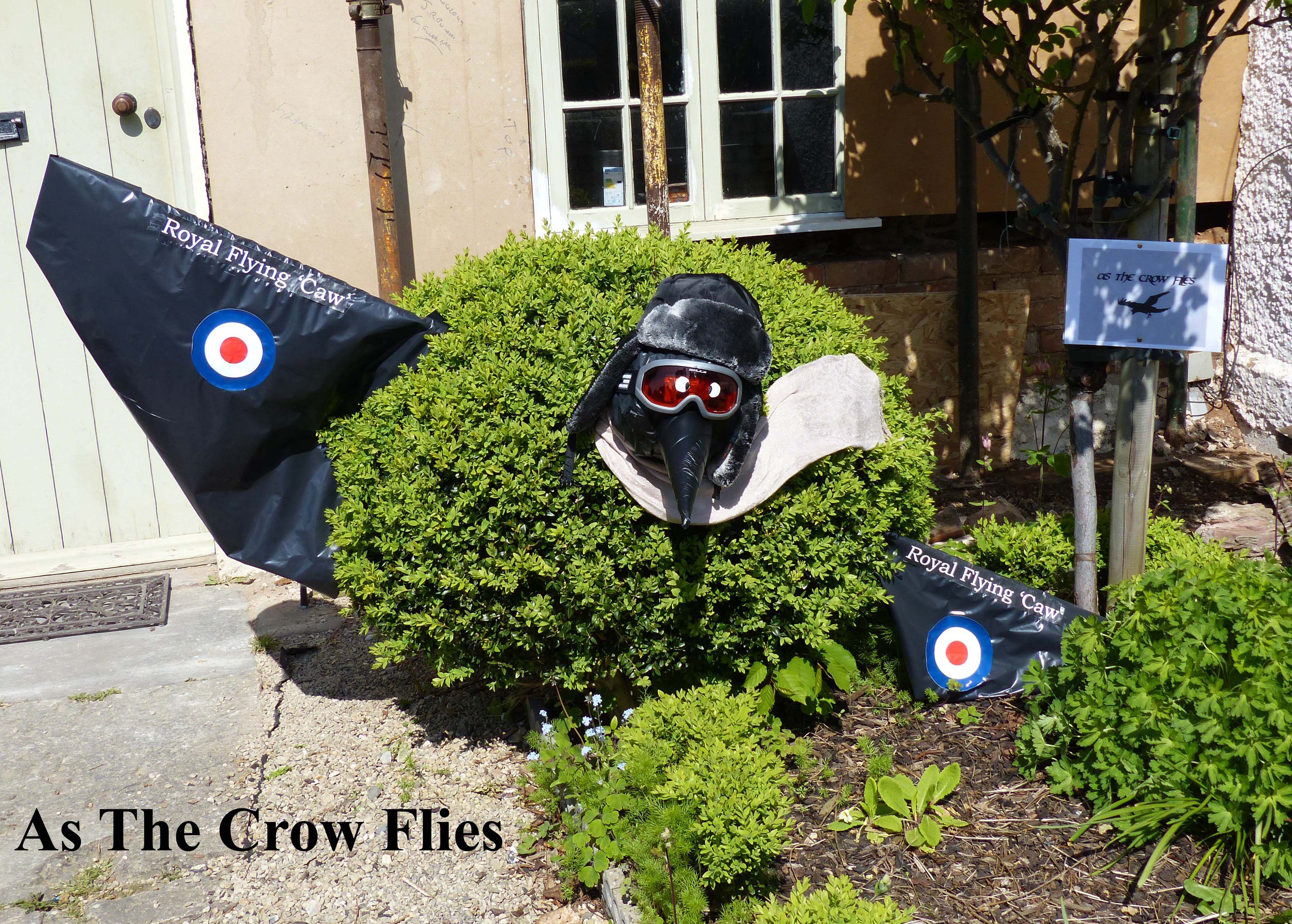 As_the_Crow_Flies copy