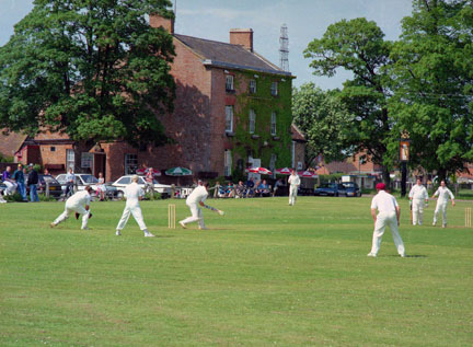 Cricket-on-green