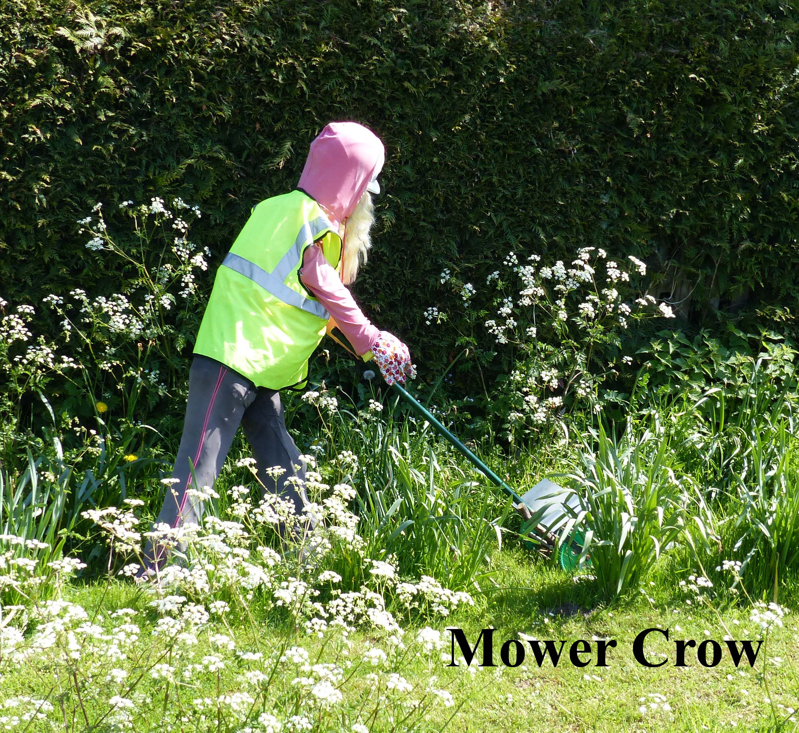 Mower_Crow copy