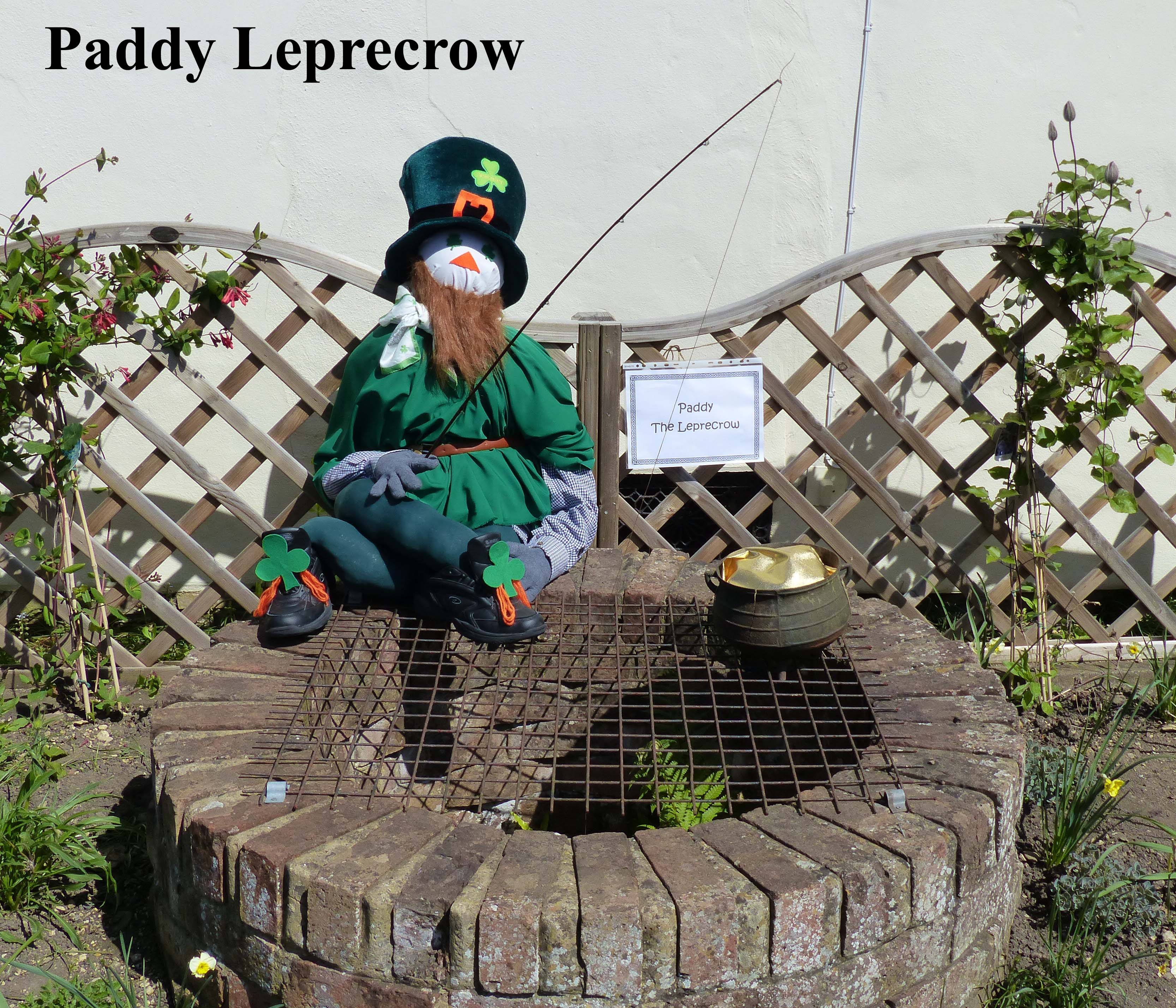 Paddy_Leprecrow copy