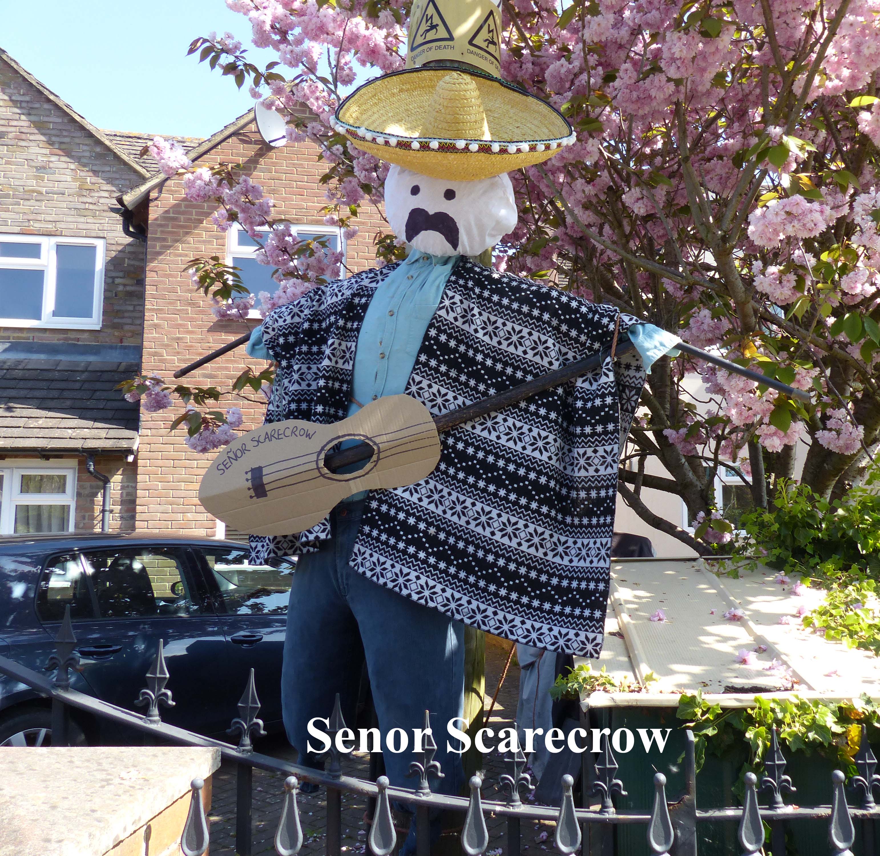 Senor_Scarecrow copy