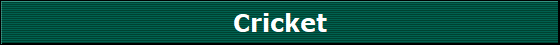 Cricket
