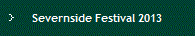 Severnside Festival 2013