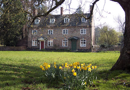 daffs-and-cottage-2